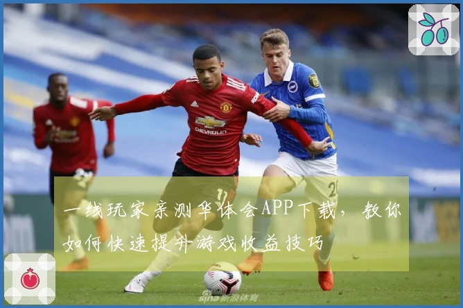 一线玩家亲测华体会APP下载,教你如何快速提升游戏收益技巧