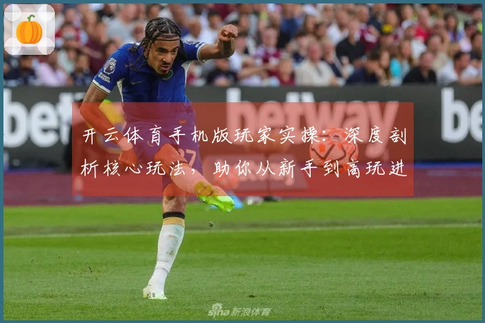开云体育手机版玩家实操：深度剖析核心玩法，助你从新手到高玩进阶之路