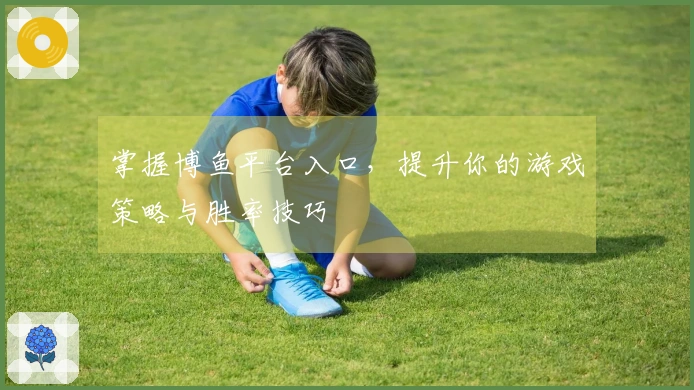 掌握博鱼平台入口，提升你的游戏策略与胜率技巧