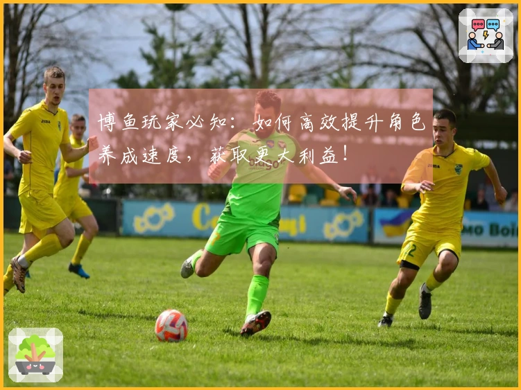 博鱼玩家必知：如何高效提升角色养成速度，获取更大利益！