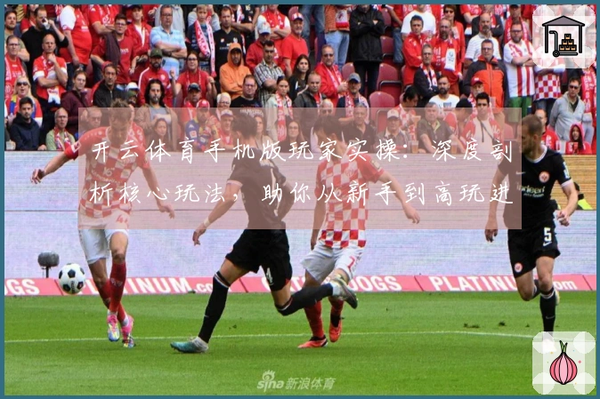 开云体育手机版玩家实操：深度剖析核心玩法，助你从新手到高玩进阶之路